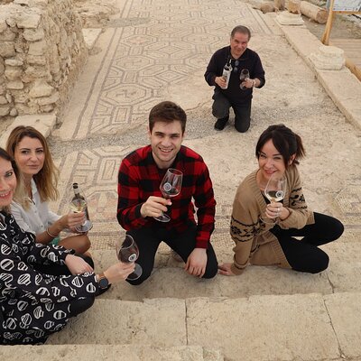 Roman Villa Mosaics Tour & Valpolicella Wine Tasting