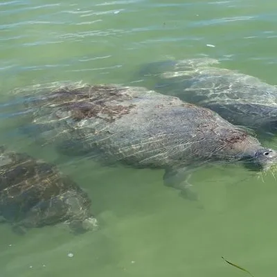 PADDLE! The Florida Keys