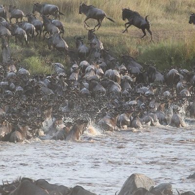 6 Days Wildebeest Migration Safari