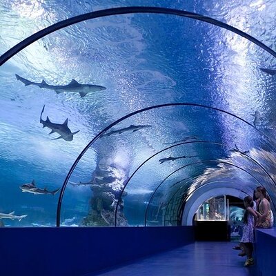 Antalya Aquarium and Face to Face Wax Museum Ticket