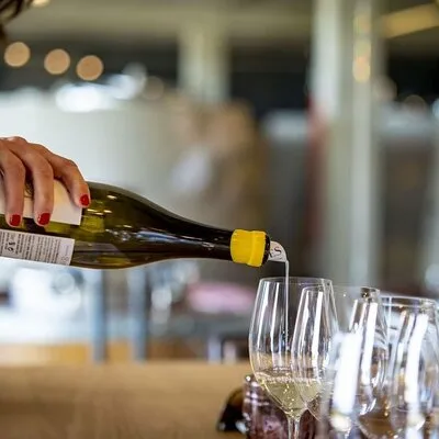 Santiago de Compostela: Cheese and Wine Tasting Experience