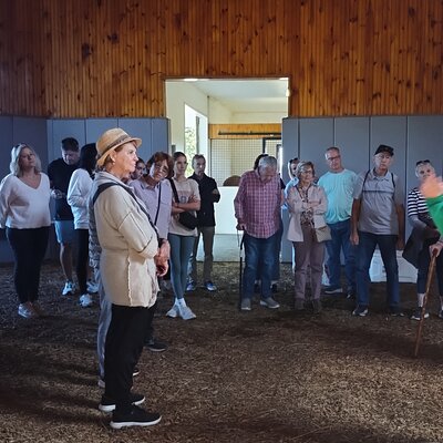 Thoroughbred Heritage Horse Farm Tours