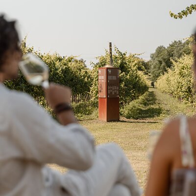 Wine and Breadstick Tasting