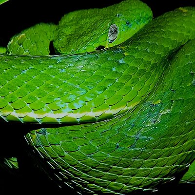 Travel to Monteverde