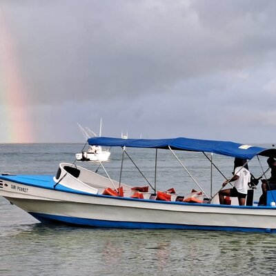 Collective Boat Transportation to Corcovado Sirena from Drake Bay