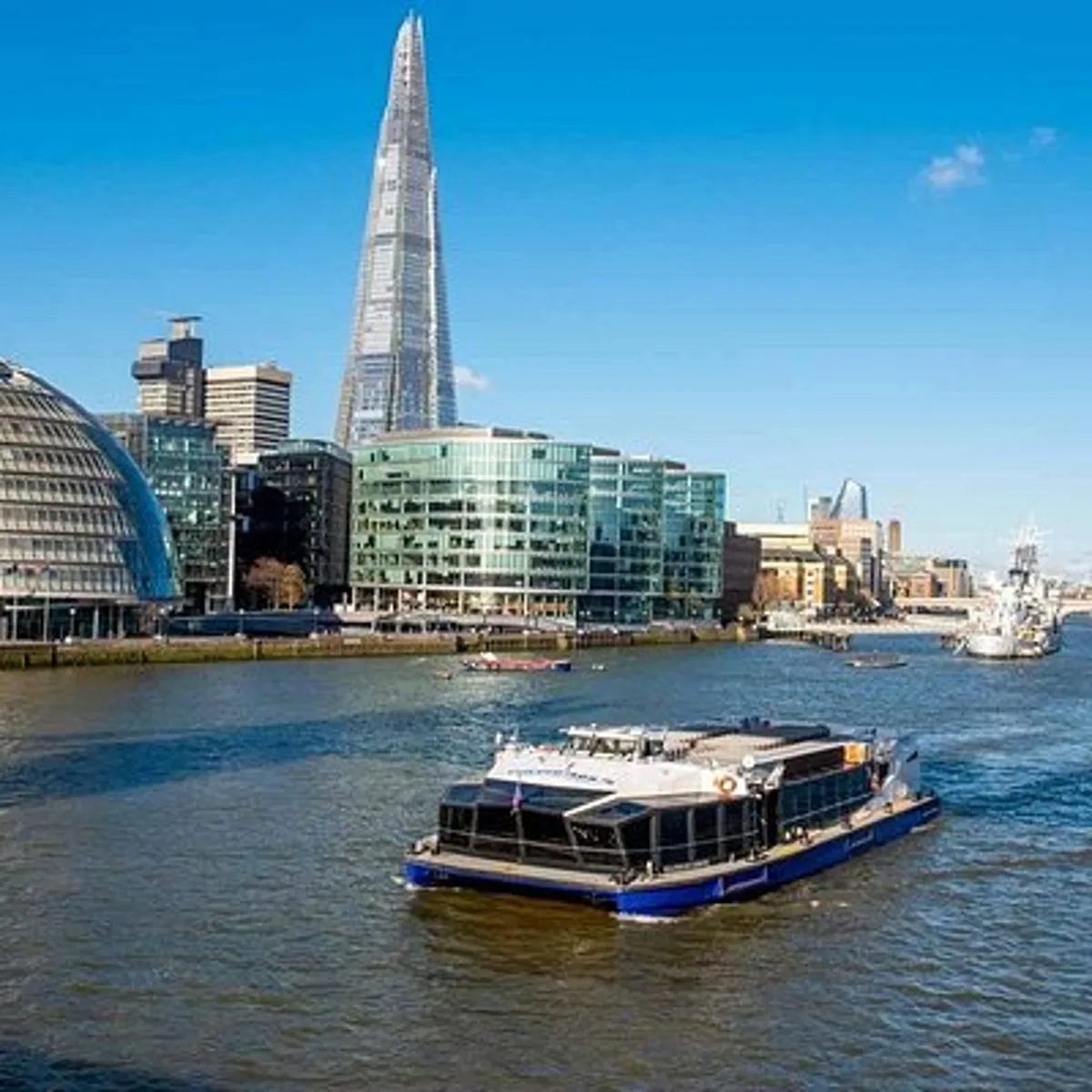 Easy Access Tower Bridge and Engine Room & Scenic Thames Cruise