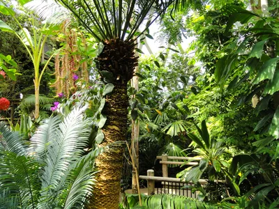 Denver Botanic Gardens General Admission Ticket