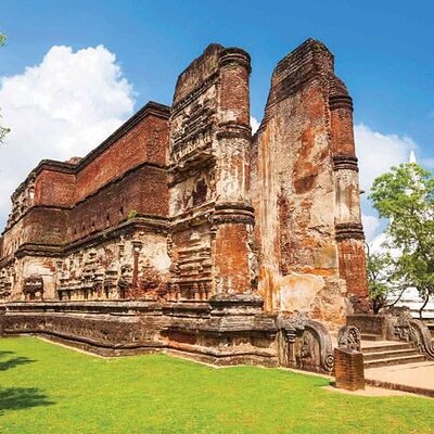 Minneriya Jeep Safari & Tours