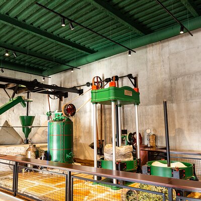 Guided tour and olive oil tasting in Alhaurin el Grande (Málaga)