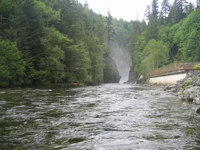 Capilano Suspension Bridge Park Ticket in Vancouver with Treetops Adventure and Cliffwalk