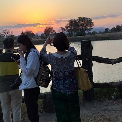Mikumi Holiday Safaris