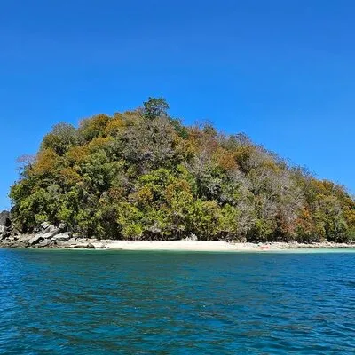 TYH Borneo Tours and Travel SDN BHD
