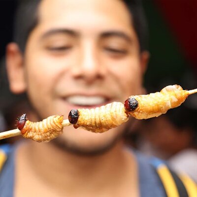 Bizarre Foods Tour for Adventurous Foodies