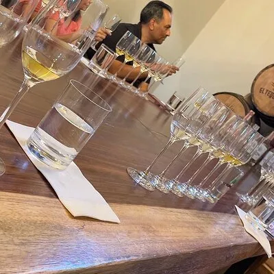 Real Tequila Tours