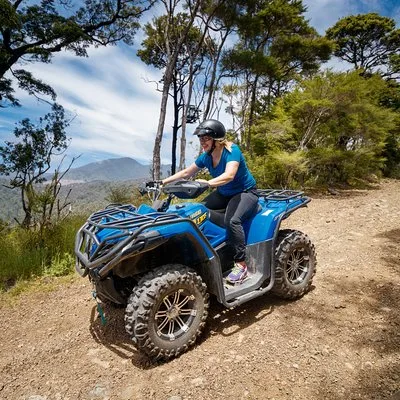 Cable Bay Adventure Park