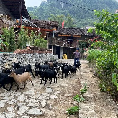 Cao Bang Easy Deeping Tours