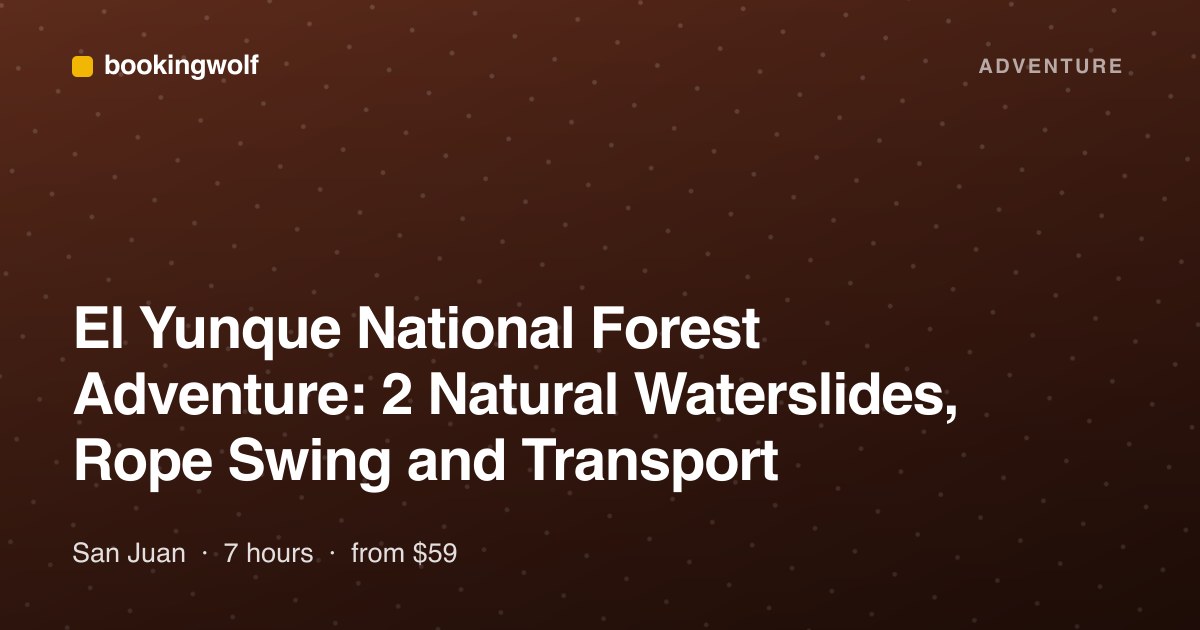 El Yunque National Forest Adventure: 2 Natural Waterslides, Rope Swing and Transport