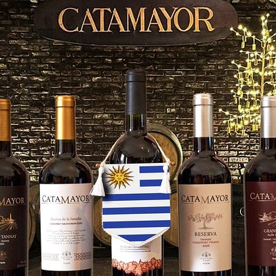 Tour with Premium Tasting