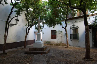 Seville Evening Historical Walking Tour of Santa Cruz with Haunted History