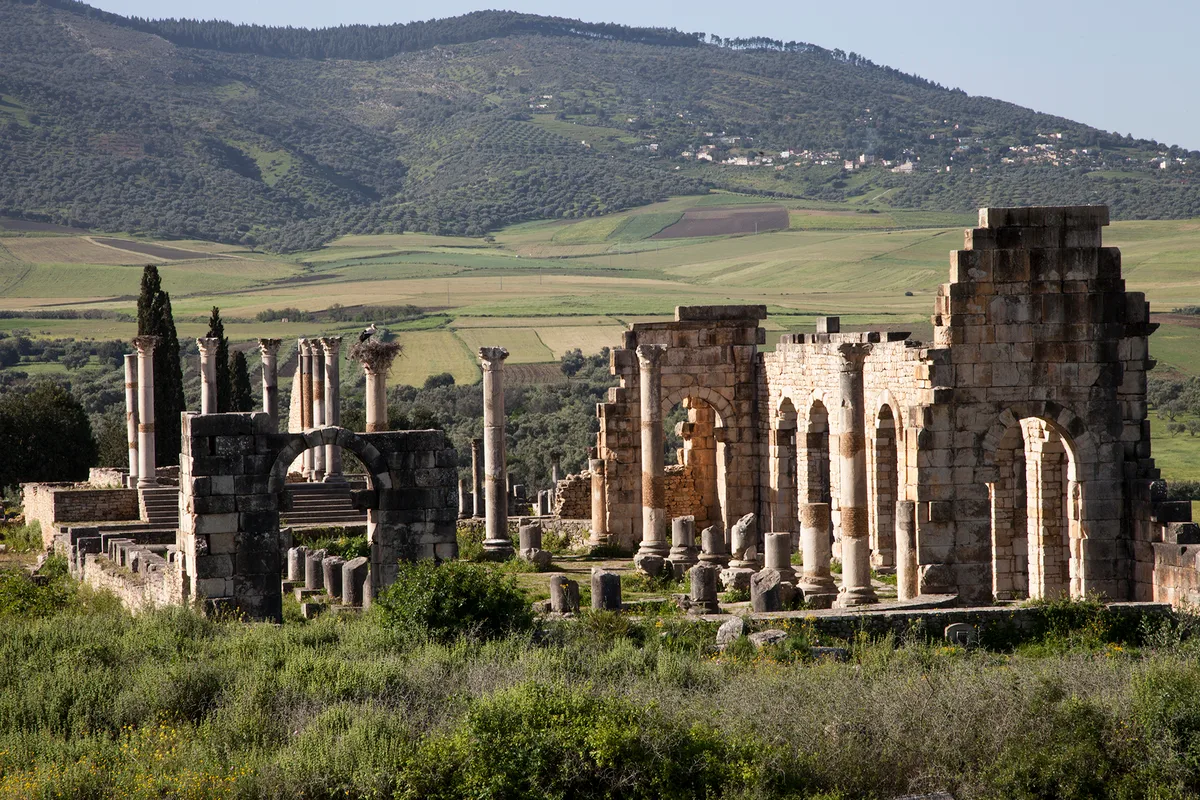 Full-Day Small-Group Tour of Meknes, Volubilis, and Moulay Idriss Zerhoun from Fez