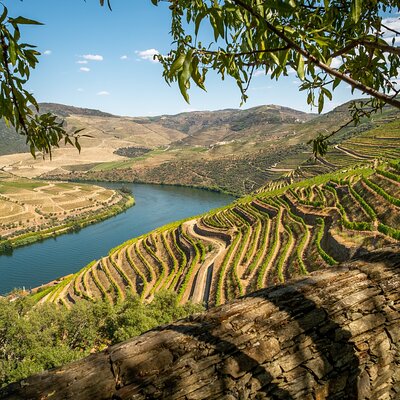 Infinity Douro - Private Tours & Transfers