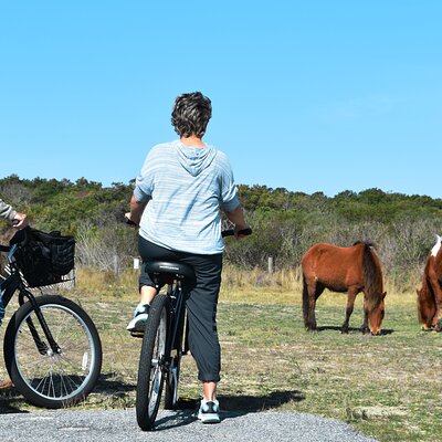 Bicycle Rental from Visitor Center location at Assateague, MD