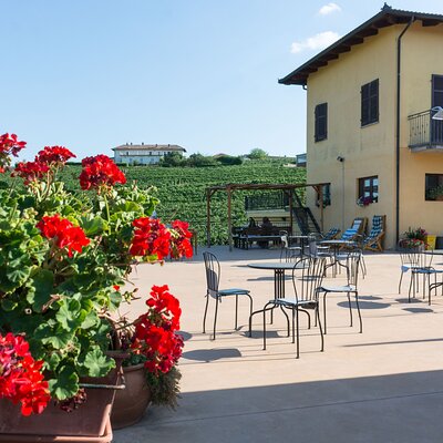Langhe and Monferrato Wine Tasting with the Producer