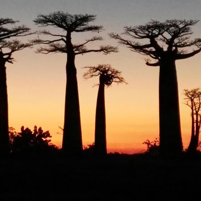 Zania Tours