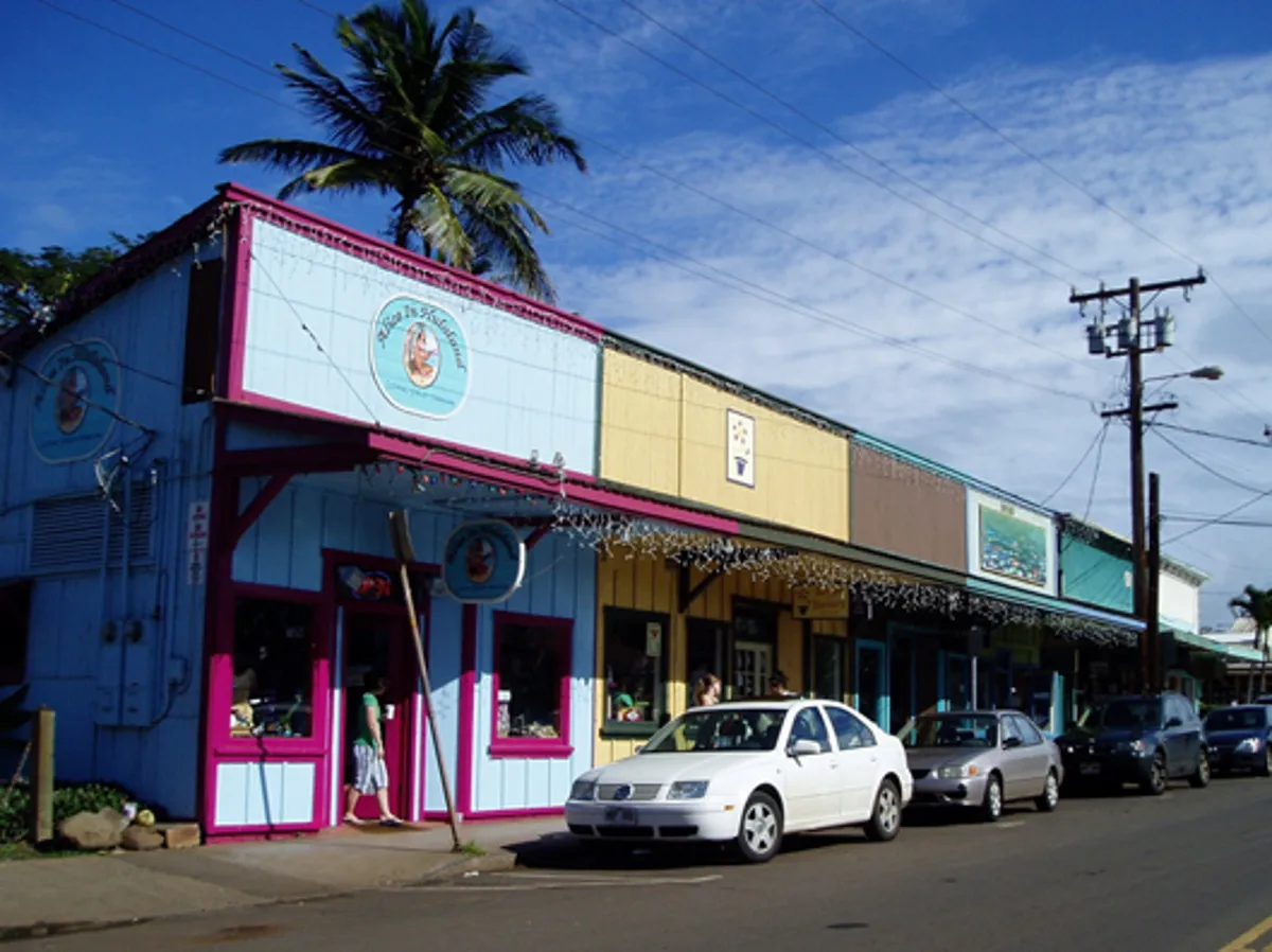 Maui Road to Hana Adventure with Farm to Table Lunch