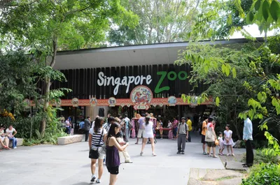 Singapore Zoo Morning Visit with Free & Easy One-Way Transfer by Minivan
