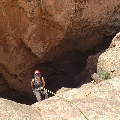 Desert Highlights