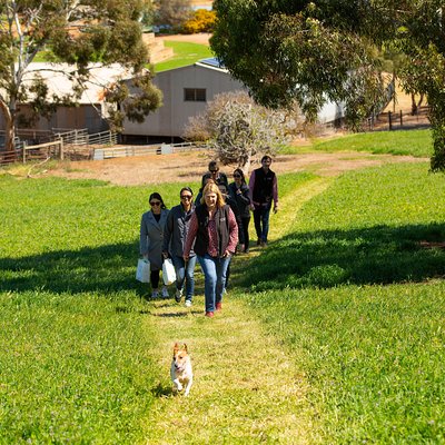 Walk, Taste, Graze - Experience at Pindarie