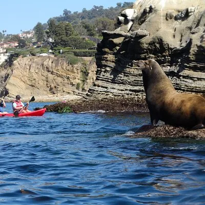 Bike and Kayak Tours, Inc