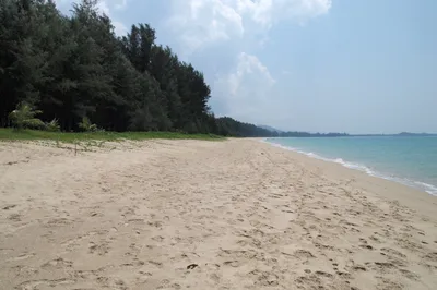 Khao Lak Bamboo Rafting, Royal Thai Navy Sea Turtle Conservation Center & Ton Pling Waterfall 3-Hour Tour