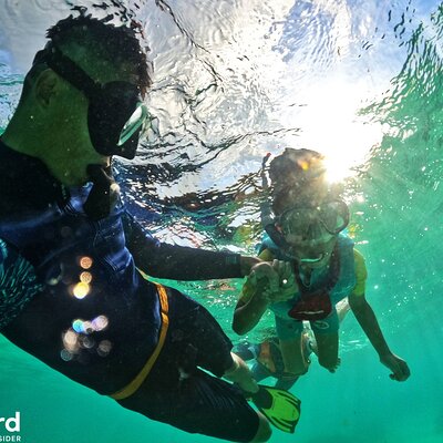OnBird Phu Quoc