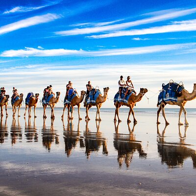 Broome Camel Safaris