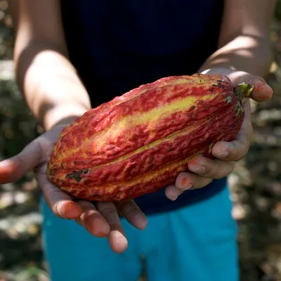 My Trip to Ecuador