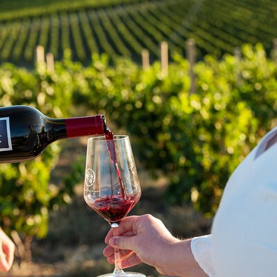 Small Batch Wine Tours