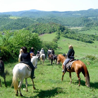 Horse riding excursion