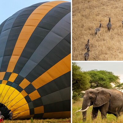 Miracle Experience Balloon Safaris