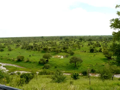 Tarangire Balloon Safari with Bush Breakfast and Champagne Celebration by Miracle Experience