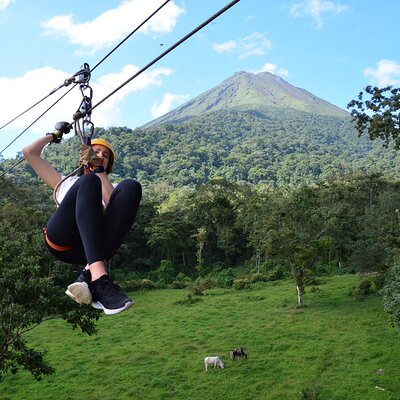 Zipline and Tarzang Swing Experience in San Carlos