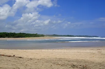 Tamarindo Estuary Tour in Tamarindo with Expert Nature Guide