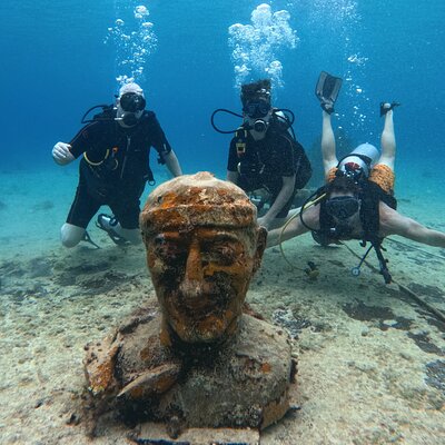 Try diving without previous experience from shore