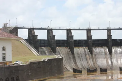 Panama Canal Monkey & Sloth Boat Safari on Gatun Lake with Casco Viejo Brunch