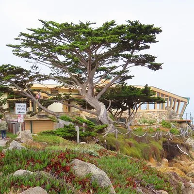 Carmel Point: A Self-Guided Audio Tour
