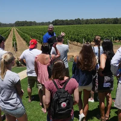 Cheers Wine & Scenic Tours