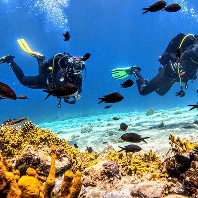 PADI Discover Scuba Diving for Beginners at Ouranoupoli|Chalkidiki|Greece