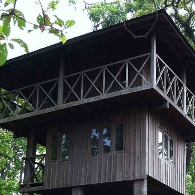 Jungle Safari Lodge