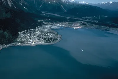 Kenai Fjords National Park Full-Day Wildlife Cruise from Seward